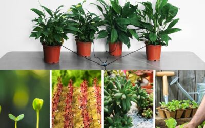 VIVOSUN Drip Irrigation Kit Review