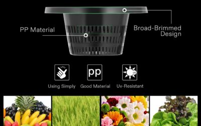 5-Gallon Deep Water Culture Review