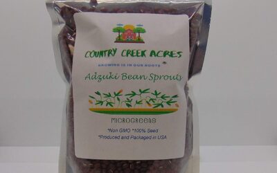 Adzuki Bean Seed Review