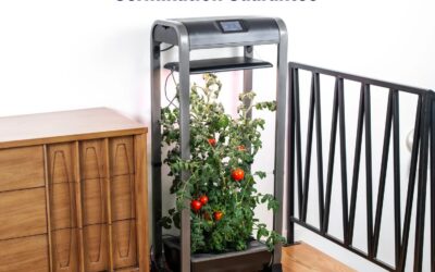 AeroGarden Farm 24Basic Review