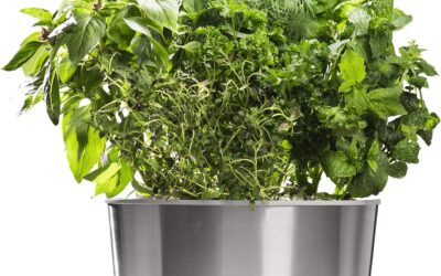 AeroGarden Harvest Elite 360 Indoor Garden Hydroponic System Review