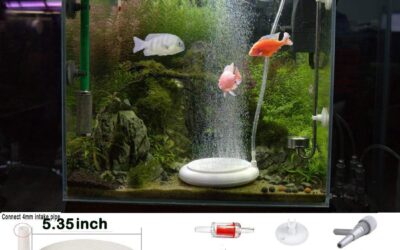 Aquarium Air Stone Disk Kit Review