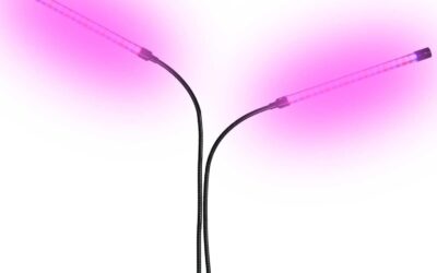 Ayehe Plant Lights Review