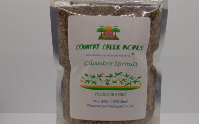 Cilantro Seed Sprouting Seeds Review