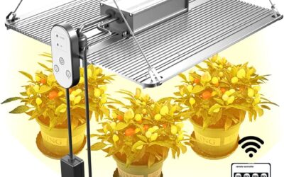 EK ENNOKING LED Grow Light Plant Lamp Review