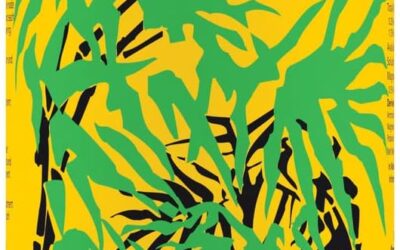 General Hydroponics FloraGro 2-1-6 Review