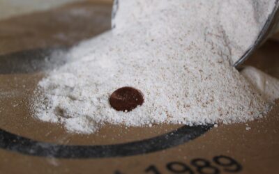 Greenway Biotech Tomato Fertilizer Review