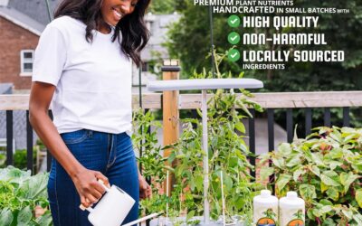 HydraGrow A & B Nutrients Review