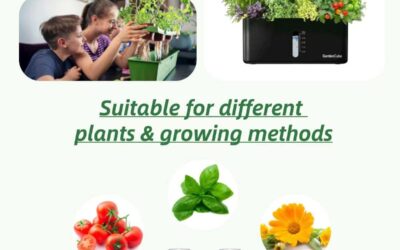 Hydroponic Nutrients Supplies Review