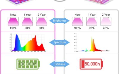 KingLED 2023 Grow Lights Review