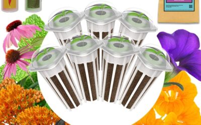 LYKO Hydroponics Growing System Review