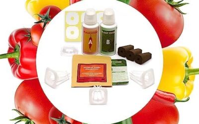 LYKO Hydroponics Seed Starter Kit Review