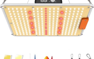 QUAL-B-1000 LED Grow Light 3×3 review