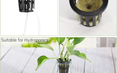 Rockwool Cubes Review