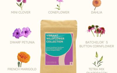 Seeds with Pod Kit Vibrant Wildflower Garden for Aero Review