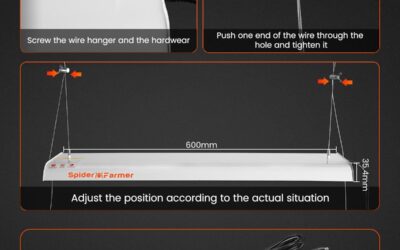 Spider Farmer SF300 LED Grow Light Review