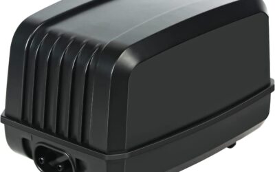 SUNWEN Aquarium Air Pump Kit Review