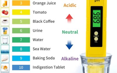 Yewhick Digital pH and TDS Meter Combo Review