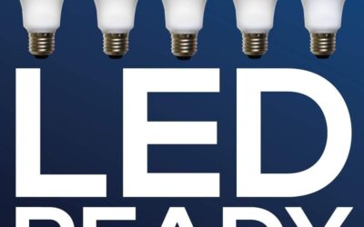 Absolute Daylight Blue Spectrum 100W Replacement Grow Light Bulbs Review