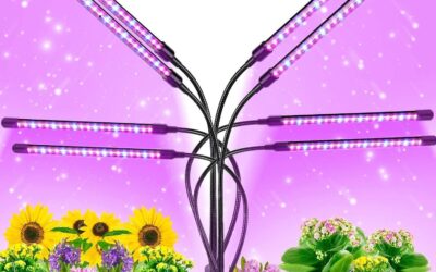 Aprjv Grow Light Review