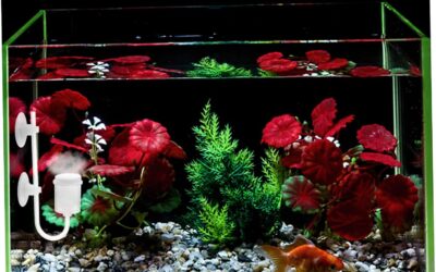 BESTOYARD Fish Tank Refiner Hydroponics Review