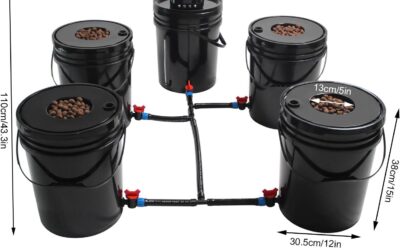 BJTDLLX DWC Hydroponic System Review
