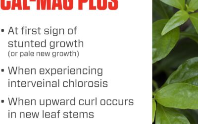 Botanicare Cal-Mag Plus Review