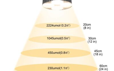 CANAGROW LED Grow Light Review