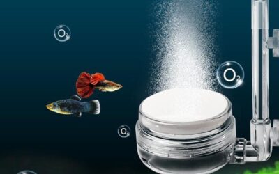 Comidox Aquarium Air Stone Kit Review