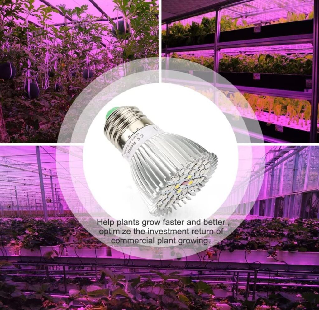 DailyGrowth 28W Full Spectrum LED Grow Light Bulbs E27 E26 (4-Pack) Grow Lamp Plant Light for Hydroponics Greenhouse Organic Indoor Plants