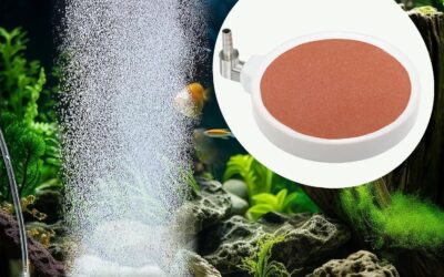 Fish Tank Bubble Air Stones Review