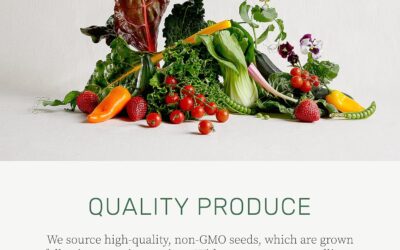 Lettuce Grow Genovese Basil Seedlings Pack Review