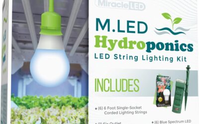 Miracle LED Hydroponics LED Indoor Grow Light Kit – Includes 1 Absolute Daylight Blue Spectrum 100W Replacement Grow Light Bulbs & 1 Single-Socket Corded Fixture with SproutMatic Timer (6-Pack) Review