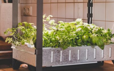 Natural Hydroponics 216Grow Nutrient Review