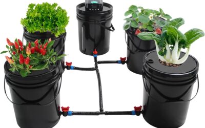 OCASAMI DWC Hydroponic System 5 Hydroponic Bucket Kit Review