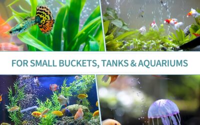 Pawfly Aquarium Air Stone Review