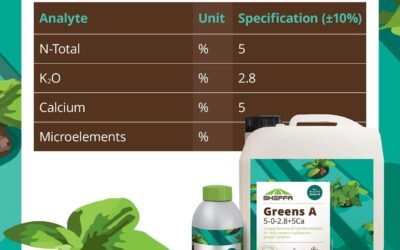 Plant Food Hydroponics Liquid Fertilizer Review