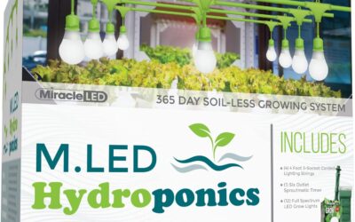 Ultra Grow Full Spectrum 150W Replacement Grow Light Bulbs Review