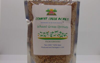 Wheatgrass 16 OZ Seed Review