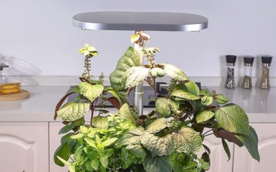 Adoolla GS1 Max Smart Hydroponic System Indoor Herb Garden Review