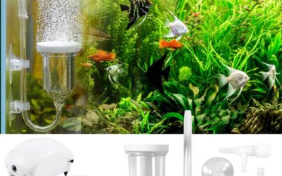 Silent Disc Nano Air Disc Bubble Stones Review