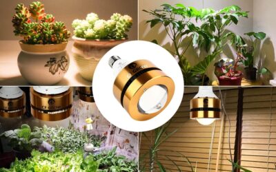 CFGROW Grow Light Bulb Review