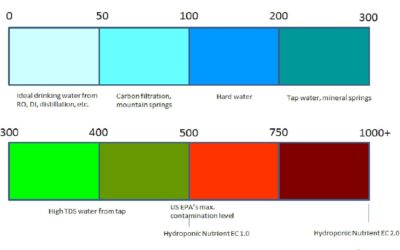 CityFarmer TDS Meter Review