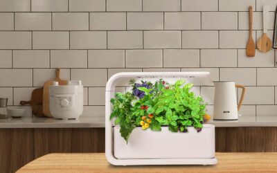 Elevon Hydroponics Growing System Review