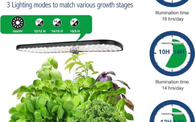 Hydroponics Growing System 12 Pods Review