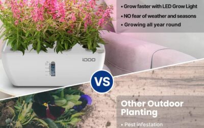 iDOO Hydroponics Growing System Review