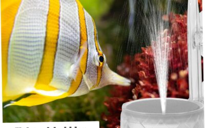 iplusmile Fish Tank Bubble Tray Aquarium Hydroponic Systems Review