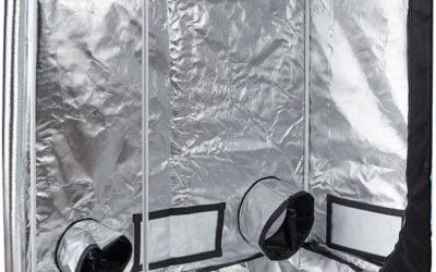 LED Grow Tent Complete Kit Review