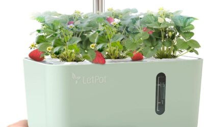 LetPot Hydroponics Growing System Review
