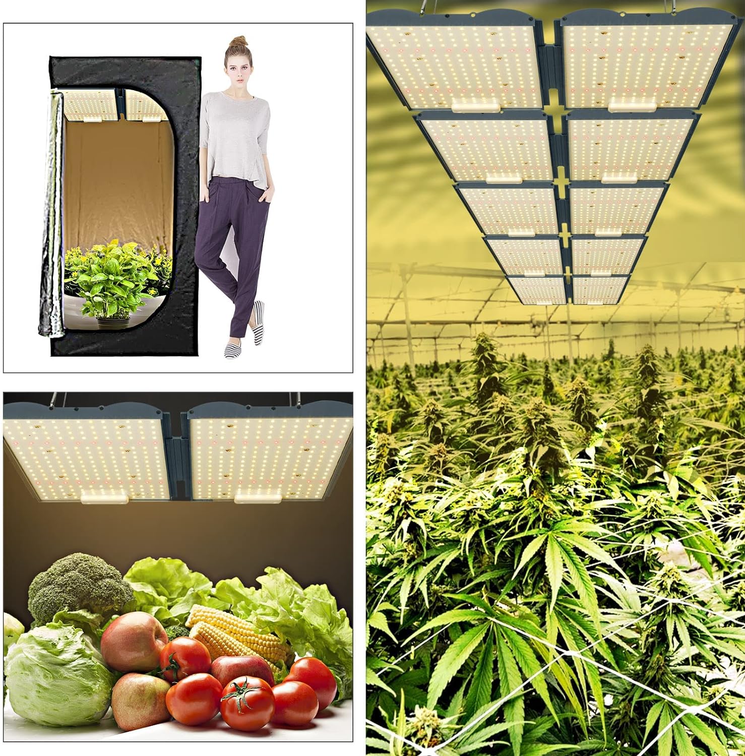 LQB2000 LED Grow Light Use Customise Driver Dimmable Full Spectrum Growing Lamps for Hydroponics Veg Bloom for 2’ x 4’ /3 x 3 Grow Tent